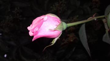 20170625_2054581.jpg